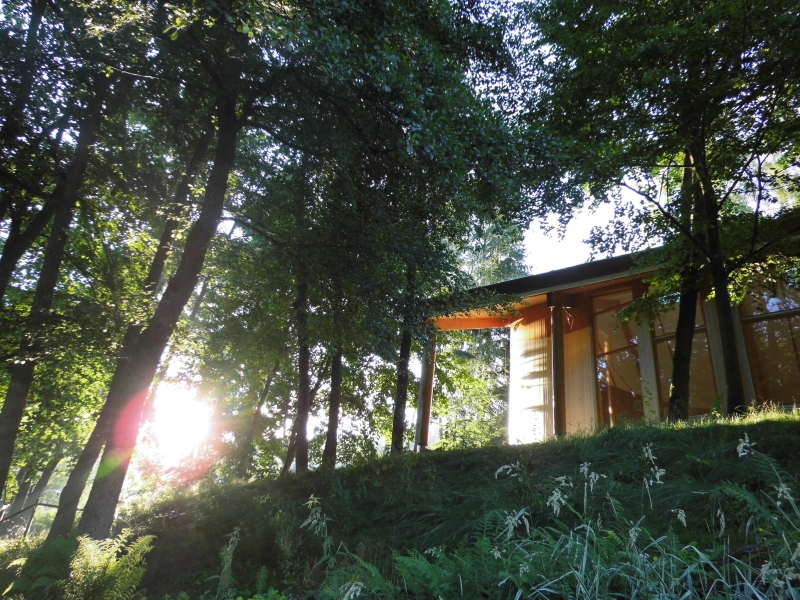 Vorankündigung - Natur-Retreat im Erzgebirge